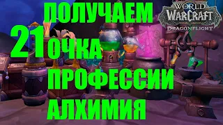 СЕКРЕТНЫЕ СОКРОВИЩА 21 ОЧКО ПРОФЕССИИ АЛХИМИЯ WOW Dragonflight