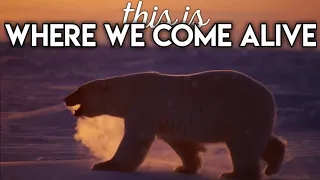 Our World - Where We Come Alive