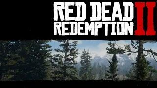 Red Dead Redemption 2. Прохождение. 1440p 60 fps.