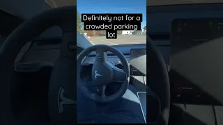 Tesla Model 3 Auto-Park works really well!