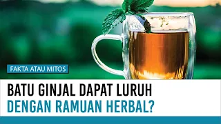 Batu Ginjal, Dapatkah diatasi dengan Bahan Alami? | Fakta atau Mitos