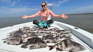 Non-Stop ACTION Catching Sheepshead.. You Have to Fish HERE!