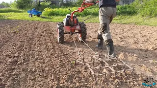 БОРОНОВАНИЕ до ВСХОДОВ КАРТОФЕЛЯ мотоблоком Агат. HARROWING to POTATO SPRING. 馬鈴薯春天