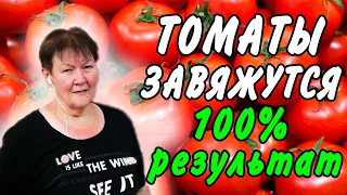 СУПЕРОВЫЕ ПОДКОРМКИ ТОМАТОВ! 100% ЗАВЯЗЬ!