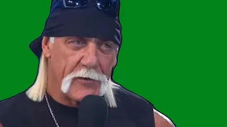 Hulk Hogan & Ric Flair "Brother" Green Screen