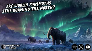 Are Woolly Mammoths Still Roaming The North?