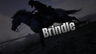 Getting a Brindle Thoroughbred Early in Chapter 2 : Red Dead Redemption 2