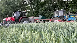 Найгірша пшениця в окрузі🥲 Фунгіцид,Інсектецид по колосу,вилив 100л на га