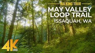 Nature Serenity of the May Valley Loop Trail - 4K Dreamy Forest Walk on a Sunny Summer Day