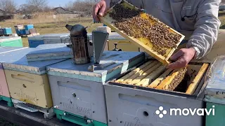 Подготовка пчел к акации. Часть 2. Обеспечение семей углеводными кормами.