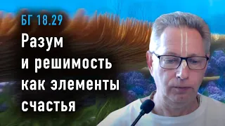 2024-04-22 - БГ 18.29 - Разум и решимость как элементы счастья