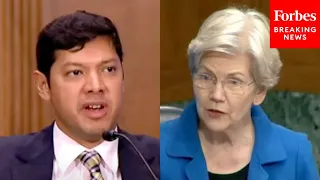 ‘Is There More Going On Here?’: Elizabeth Warren Interrogates Expert About Cause Of High Food Prices