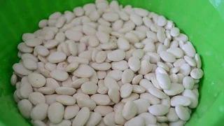 HOW TO PREPARE FAVA: SEE THE SECRET !!!