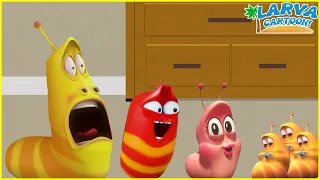 🍓🐞LARVA FULL EPISODE | CARTOONS MOVIES NEW VERSION | THE BEST OF CARTOONS BOX | TRY NOT TO LAUGH 🍓🐞