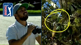 Jason Day’s tree shot leads to trouble at Arnold Palmer Invitational