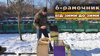 Шестирамочний вулик, річний цикл. Як розширити пасіку дешево?