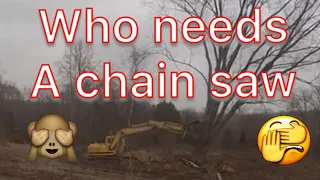 Excavator removing a tree how to #dirtperferct #loggerwade