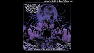 Carcosian Enmity - And Sorrow Begat Fury