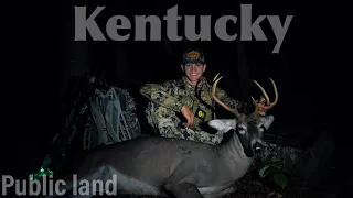 PUBLIC LAND Kentucky buck | Hill country early season OAKS and HOT BUCK SIGN