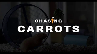 Chasing Carrots - Life.Church Sermon Series Promo