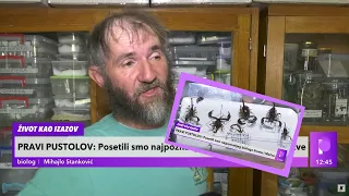 OD NJEGOVE KOLEKCIJE SE SVI JEŽE - 40 godina sakuplja i izučava gmizavace, insekte i bube