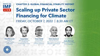 Scaling up Private Sector Financing for Climate