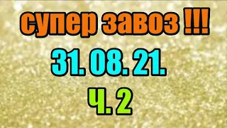 🌸Продажа орхидей. ( Завоз 31. 08. 21 г.) 2 ч. Отправка только по Украине. ЗАМЕЧТАТЕЛЬНЫЕ КРАСОТКИ👍