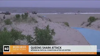 Woman critically hurt after Rockaway shark attack