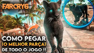 GUIA COMPLETO PARA RECRUTAR O "OLUSO" | TODOS OS PUZZLES RESOLVIDOS !! (FAR CRY 6)