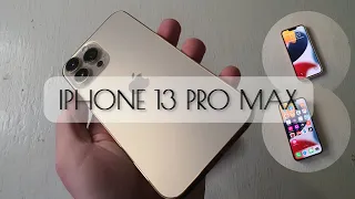 Обзор Apple iPhone 13 Pro Max | На что способен самый мощный смартфон первой половины 2022 года?