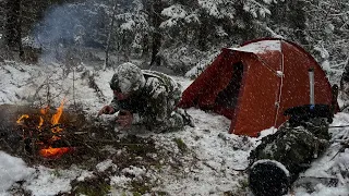 2 DAY Solo Winter Camping in Blizzard Snow, Survival in Snow Forest, Sub-Zero, Extreme Windstorm