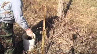 Barbed Wire Fence Removal