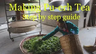 Pu-erh Tea Processing