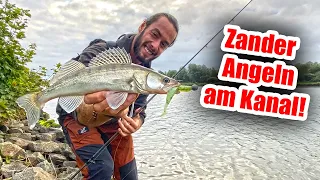 Zanderangeln am Kanal mit Gummifisch - Ohne Gelaber [Spartanisch Angeln, 4K]