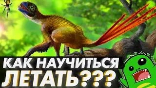 Как научиться ЛЕТАТЬ? Эволюция полета, птерозавры и птицы: [Тихий ПОДКАСТ]