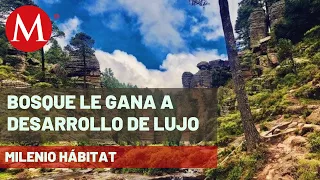 Cancelan proyecto inmobiliario "Bosque Diamante" en Jilotzingo | Milenio Hábitat