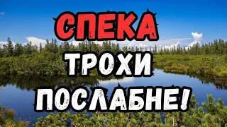 Загримить, задощить і поб'є градом: синоптик розказала, де завтра погіршиться погода