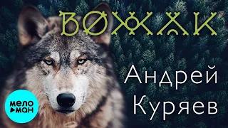 Андрей Куряев – Вожак  ♫ Песни русской души ♫ Эти песни ищут все