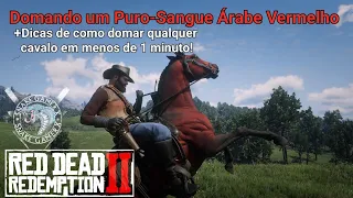 Red Dead Redemption 2 - Onde conseguir o    Puro-Sangue Árabe Vermelho e Como Domar Cavalos em 1min.