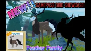 Roblox Feather Family - NEW GAMEPASS BIRD SHOWCASE! ( PERYTON! )