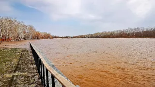 Вода продолжает прибывать в Оренбург и область. Власти назвали ситуацию критической