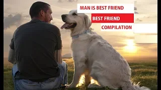 Man's Best Friend Compilation Dogs never lie about love Funny pets