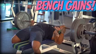 Bench Has NEVER Felt BETTER