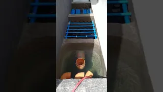 Koi Pond Filter Flow Test