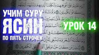 Урок 14 - Учим "ЯСИН" (по пять строчек) / 36-я сура Корана