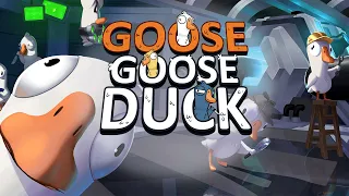 Гусинный импостерский переполох #1: Начало - Goose Goose Duck - Гусь Гусь Дак - Нарезка