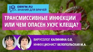 Инфекционист Белопольская М.А., вирусолог Калинина О.В: Трансмиссивные инфекции. Укус клеща