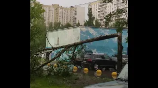 Ливень и ветер в Москве, последствия...  район Северное Бутово