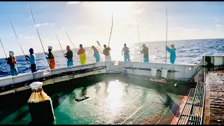 Amazing full video of how we catch skipjack tuna watch till the end#viralvideo