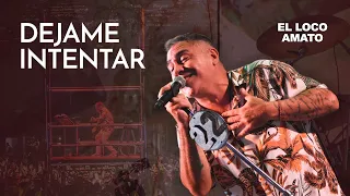 El Loco Amato - Dejame intentar (en vivo)